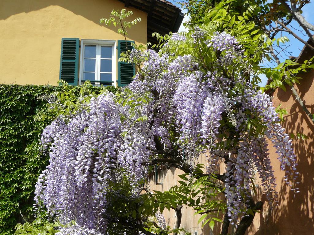 Al Concerto Bed and Breakfast San Benigno Canavese Buitenkant foto